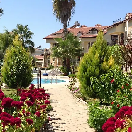 Lale Fethiye