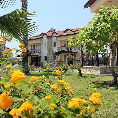 Lale Fethiye