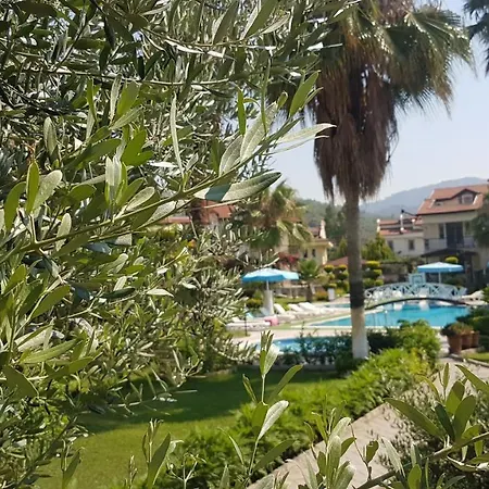 Apartman Lale *